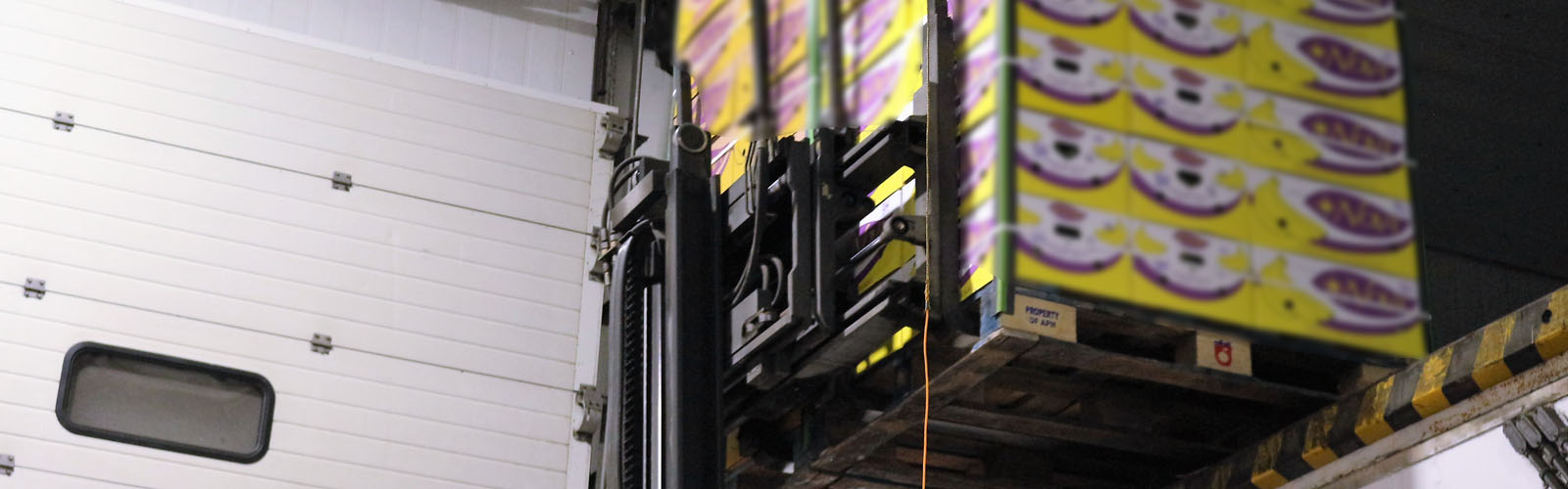 Cold Storage
